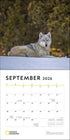 NATIONAL GEOGRAPHIC: WOLVES 2026 WALL CALENDAR